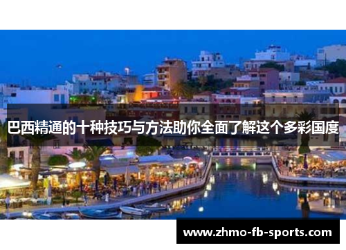 巴西精通的十种技巧与方法助你全面了解这个多彩国度