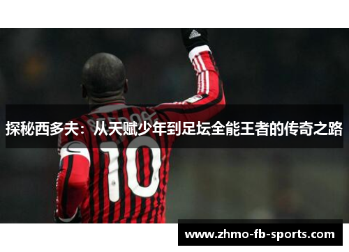 探秘西多夫：从天赋少年到足坛全能王者的传奇之路