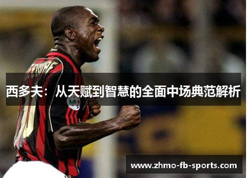 西多夫：从天赋到智慧的全面中场典范解析