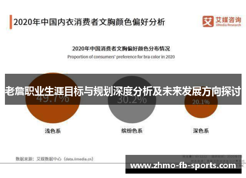 老詹职业生涯目标与规划深度分析及未来发展方向探讨