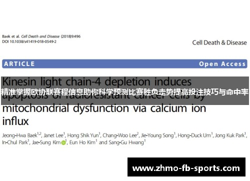 精准掌握欧协联赛程信息助你科学预测比赛胜负走势提高投注技巧与命中率